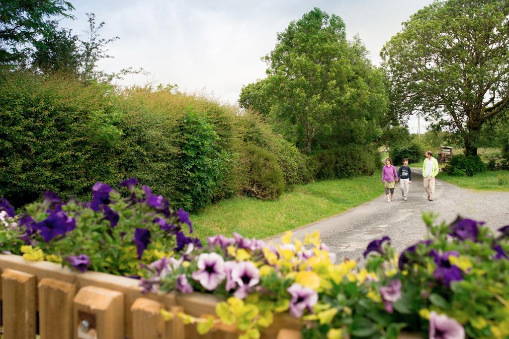 Burren Glamping Villa Kilfenora Exterior foto